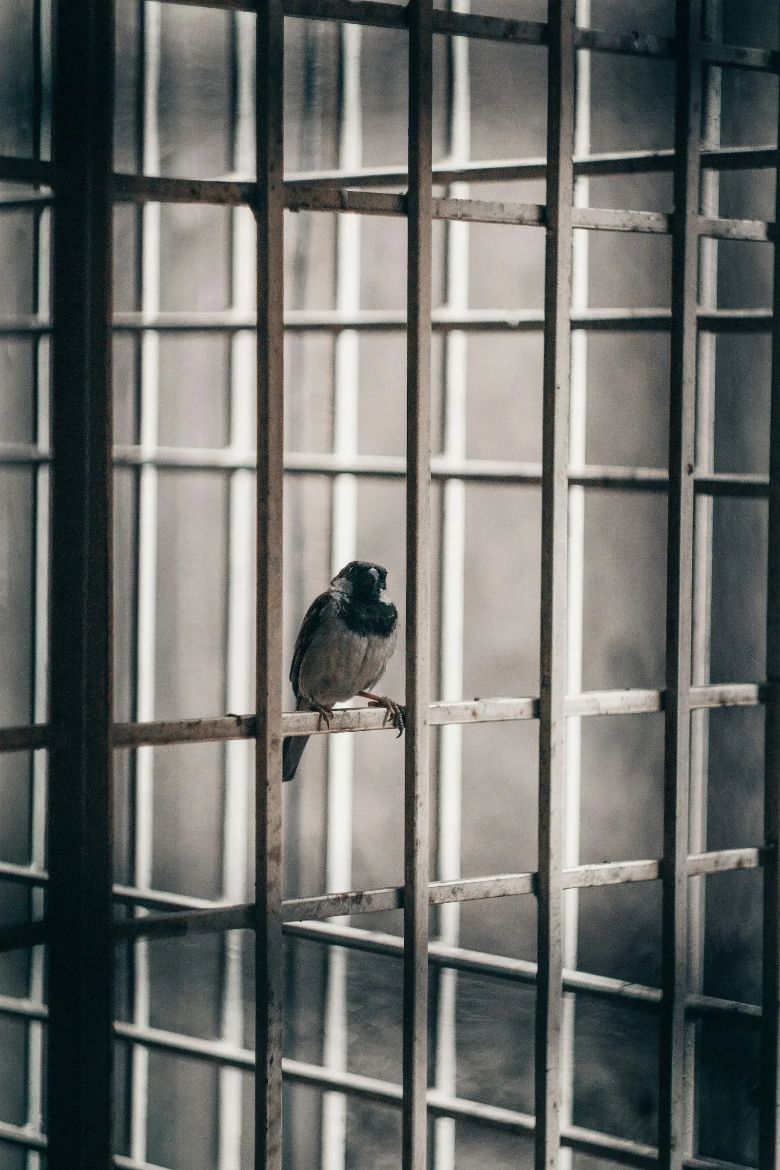Photo by M Shiva / Unsplash / https://unsplash.com/@24thview